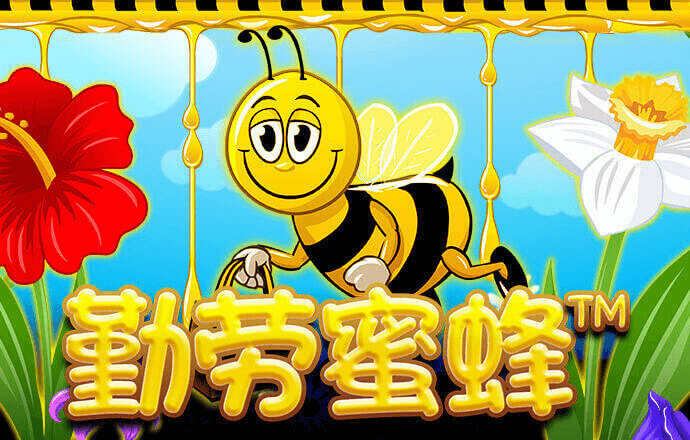 bob体彩app下载